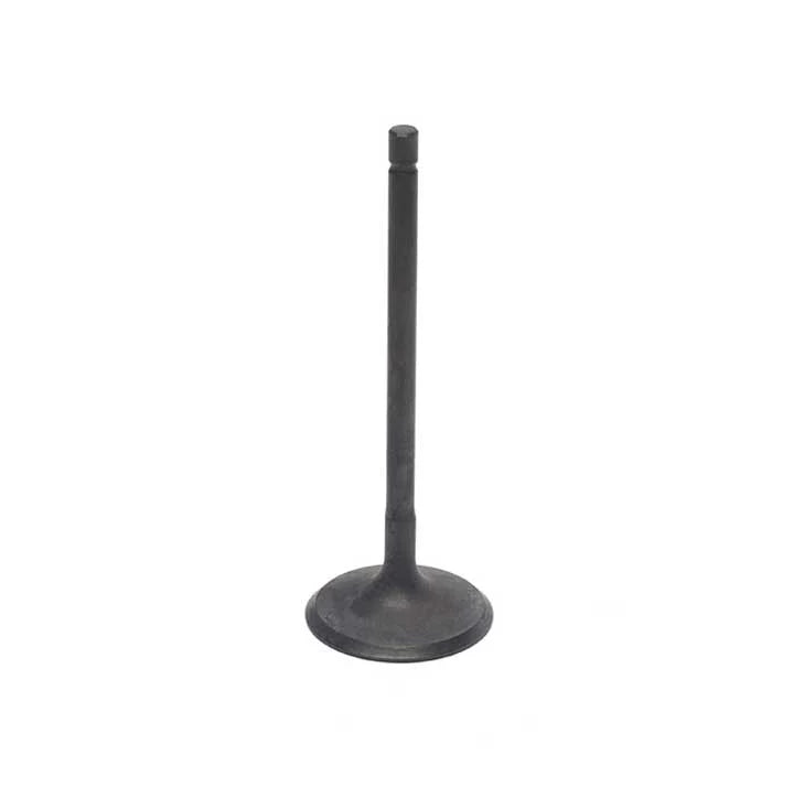 VALVE - INLET LR010699